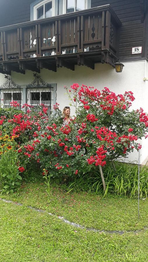 Rosis Cottage Lienz Exterior photo