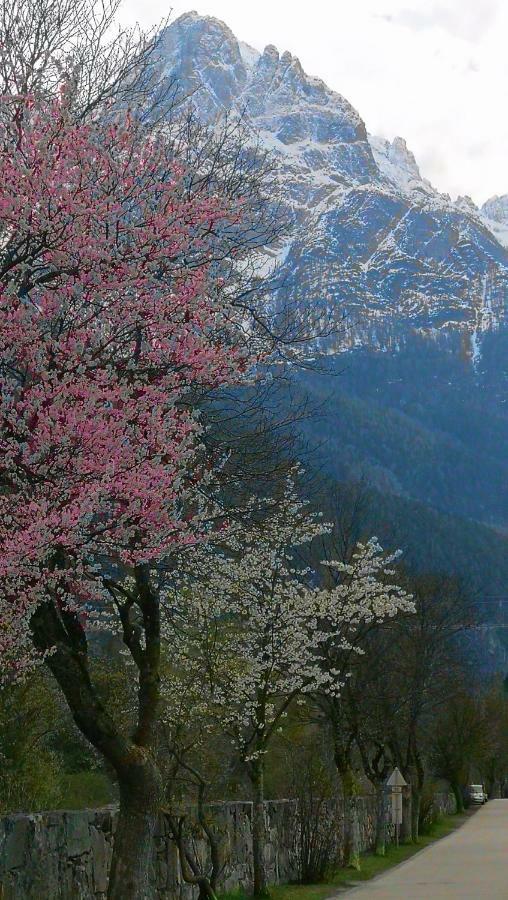 Rosis Cottage Lienz Exterior photo